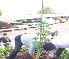 Environmental Building Solutions